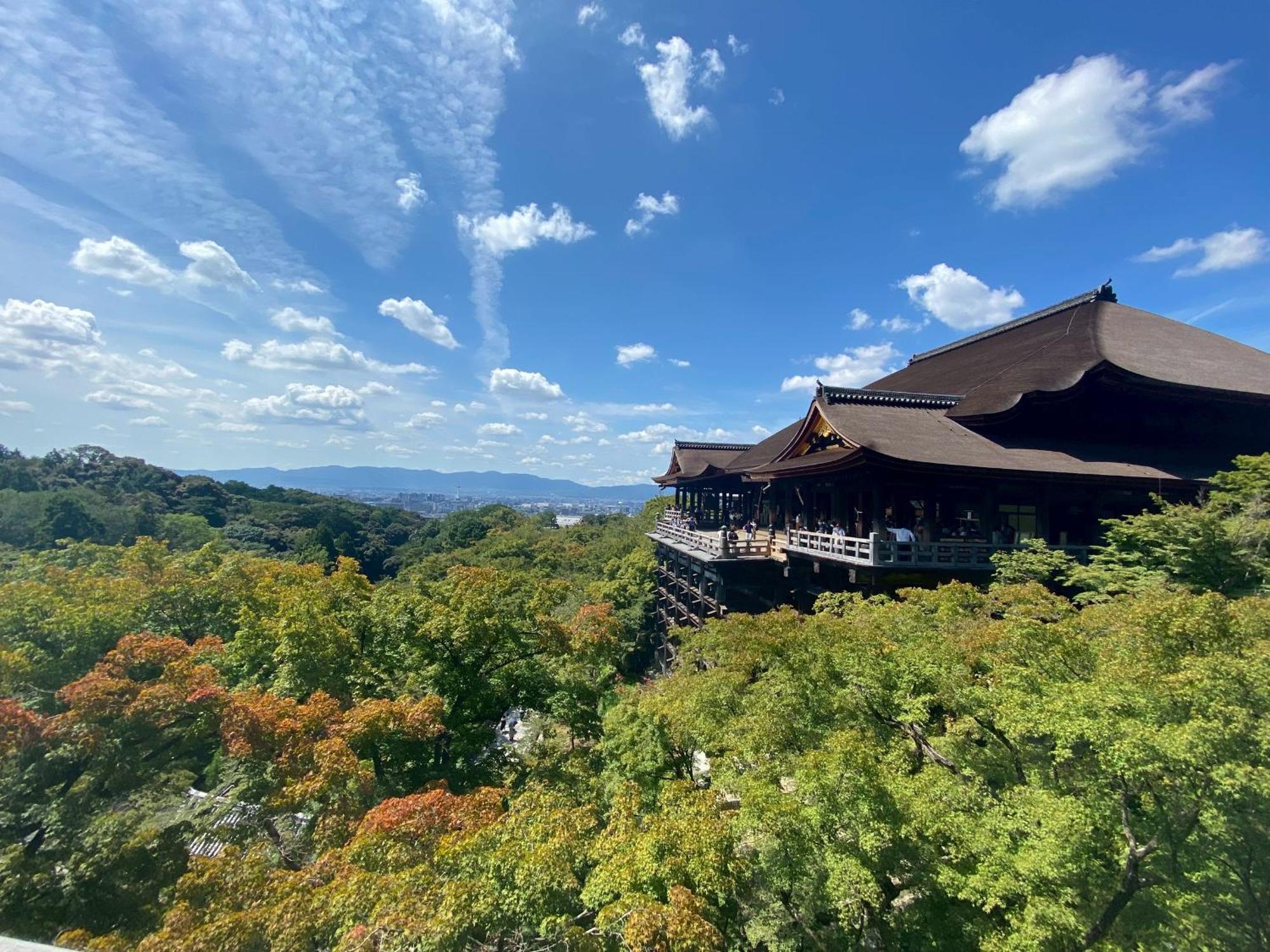 205gblhouse,黒門市場がすぐ目の前,徒歩30秒,大阪人気の観光エリアへ徒歩圏内道頓堀徒歩7分,南海難波駅徒歩6分 Appartement *